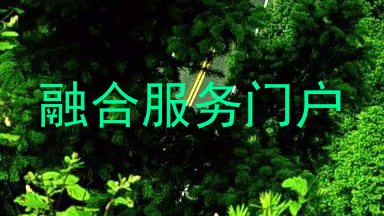 融合服务门户
