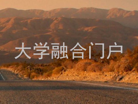 大学融合门户