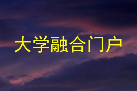 大学融合门户