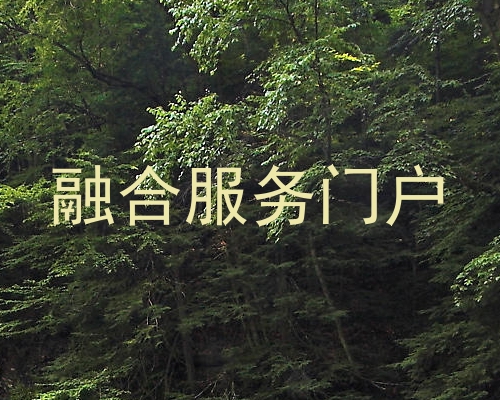 融合服务门户