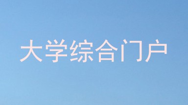 大学综合门户
