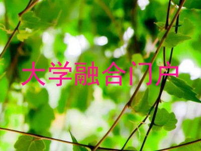 大学融合门户