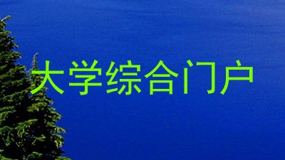 大学综合门户