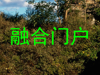 融合门户