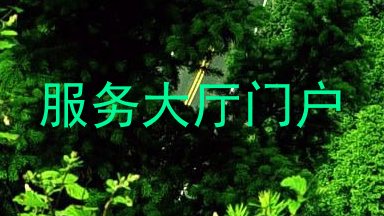 服务大厅门户