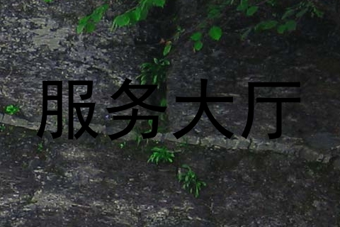 服务大厅