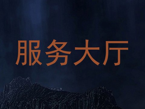 服务大厅