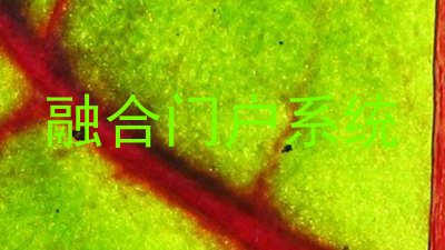融合门户系统