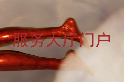 服务大厅门户