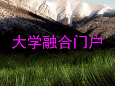 大学融合门户