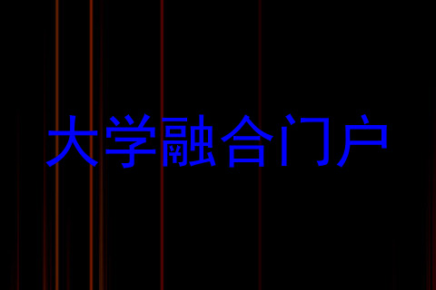 大学融合门户