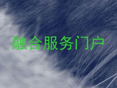 融合服务门户