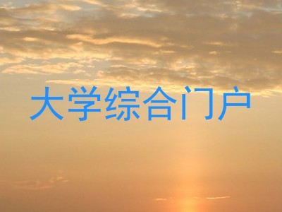 大学综合门户