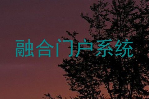 融合门户系统