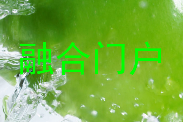 融合门户