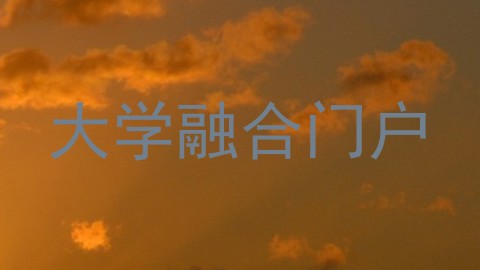 大学融合门户