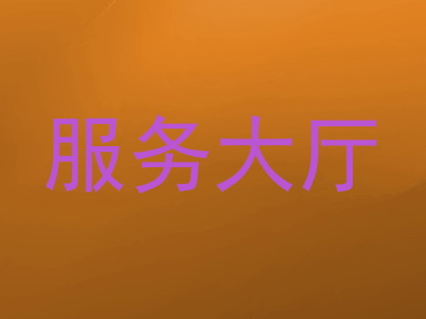 服务大厅