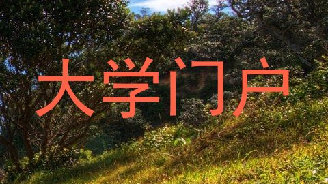 大学门户