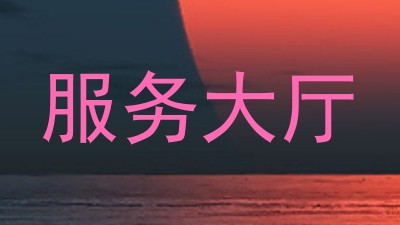服务大厅