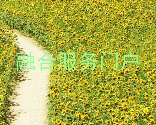 融合服务门户