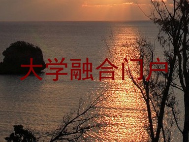 大学融合门户