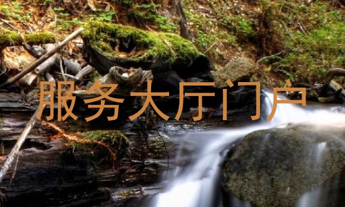 服务大厅门户