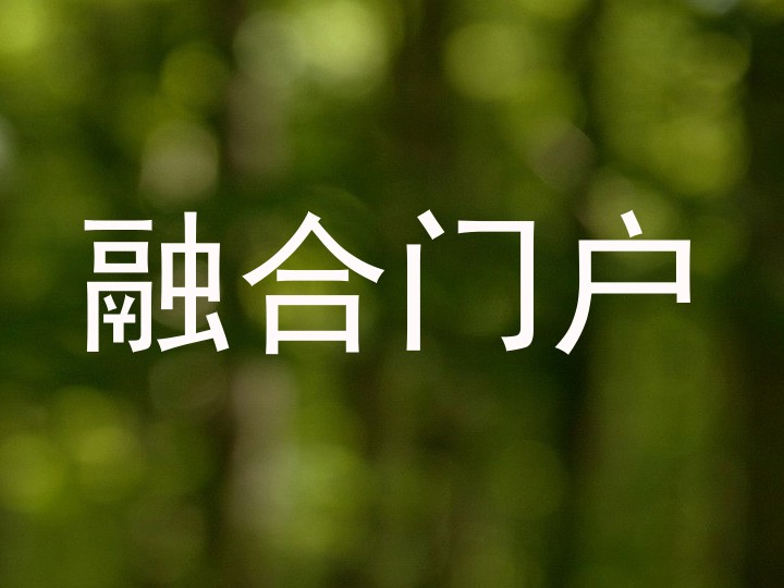 融合门户