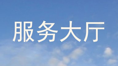 服务大厅