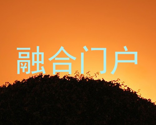 融合门户
