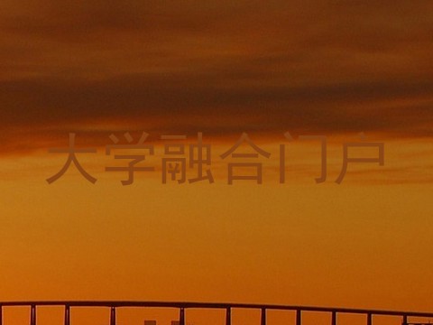 大学融合门户
