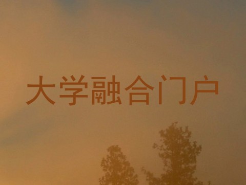 大学融合门户