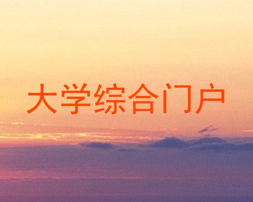 大学综合门户