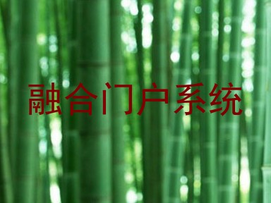 融合门户系统