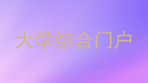 大学综合门户