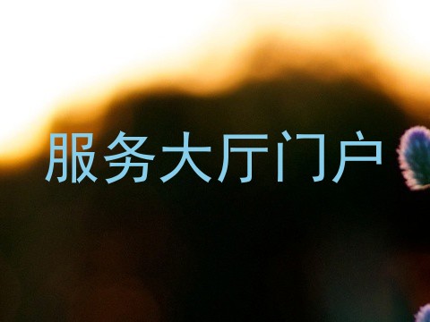 服务大厅门户