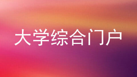 大学综合门户