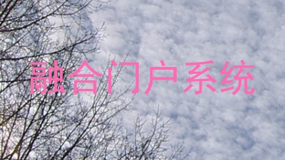 融合门户系统
