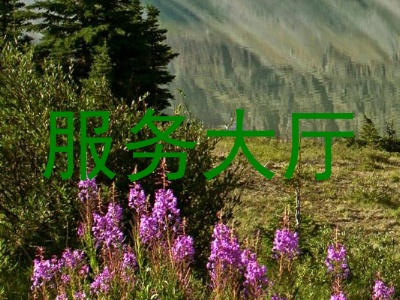 服务大厅