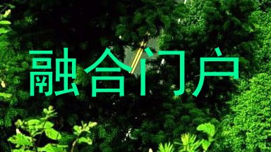 融合门户