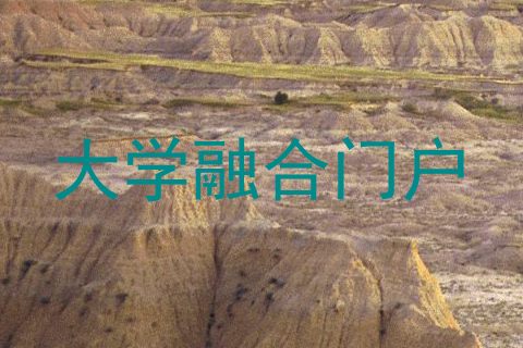 大学融合门户