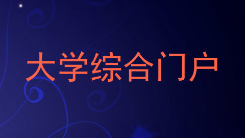 大学综合门户