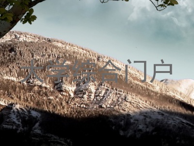 大学综合门户