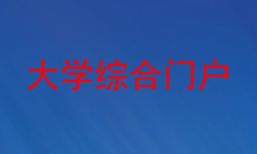 大学综合门户