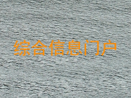 综合信息门户