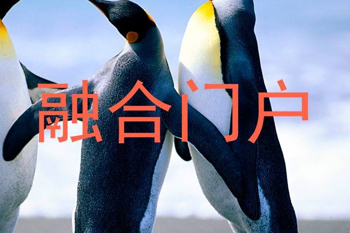 融合门户
