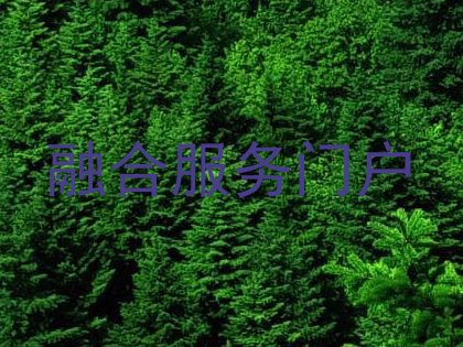融合服务门户