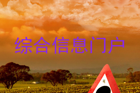 综合信息门户