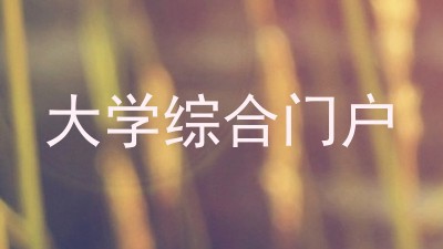 大学综合门户