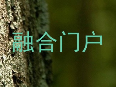 融合门户