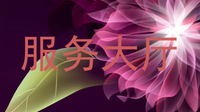 服务大厅